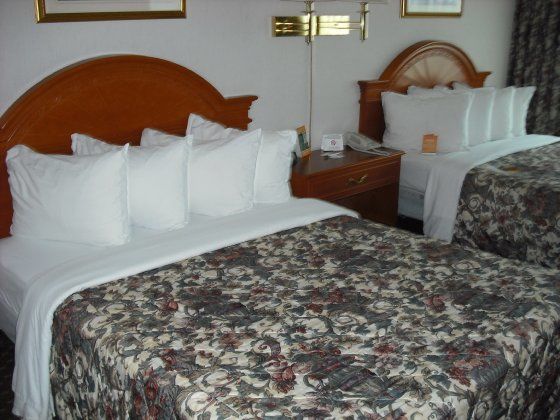 פורט ארי Clarion Hotel & Conference Centre חדר תמונה